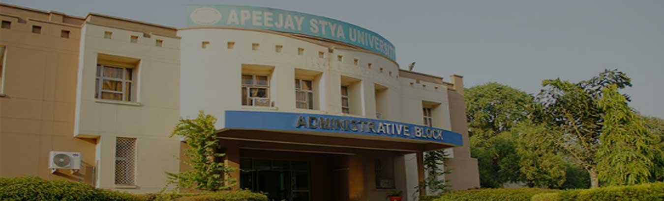 Apeejay Stya University School of Management Sciences